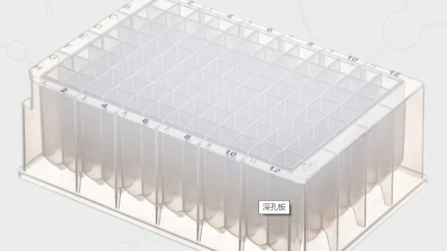 探索 96 深孔板在实验室中的重要作用