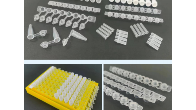 PCR 管：单管、4 排管与 8 排管的特点与应用